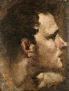 Domenico Beccafumi Head of a Youth Seen in Profile oil on canvas